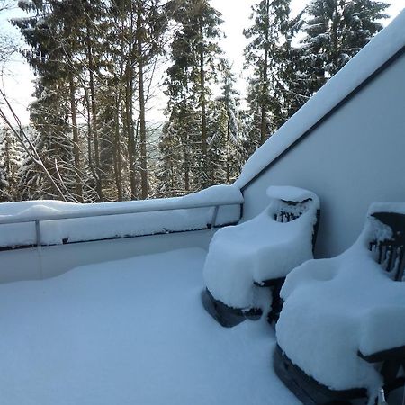 Terrassenhaus Winterberg Apartment Luaran gambar